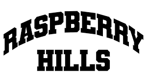 https://raspberryhill.com.co/